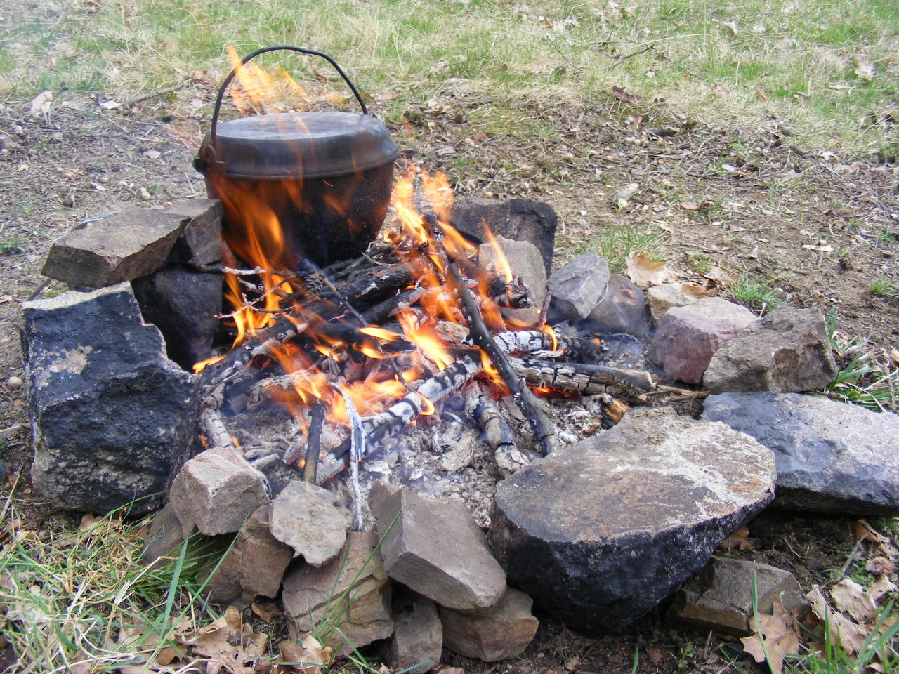 Mohawkové.
