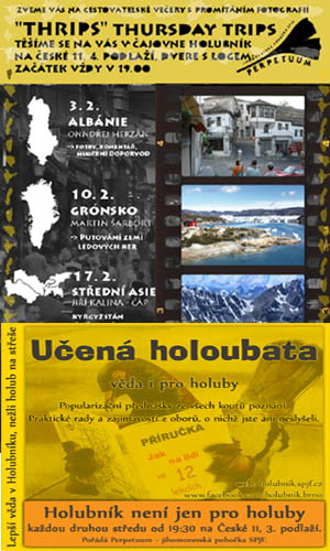 program