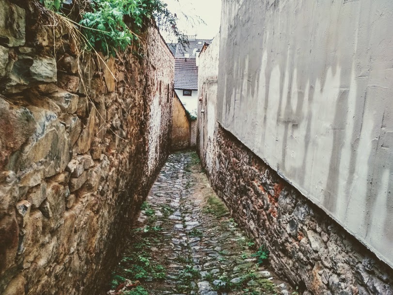 tiš3