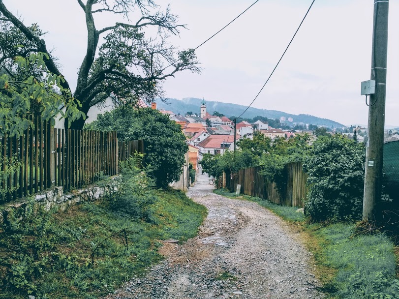tiš5