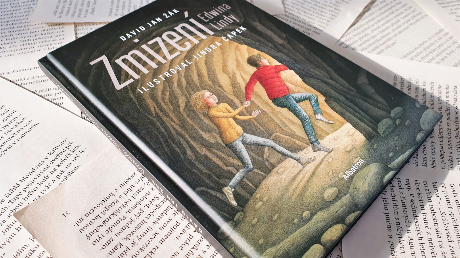 Zmizení Edwina Lindy