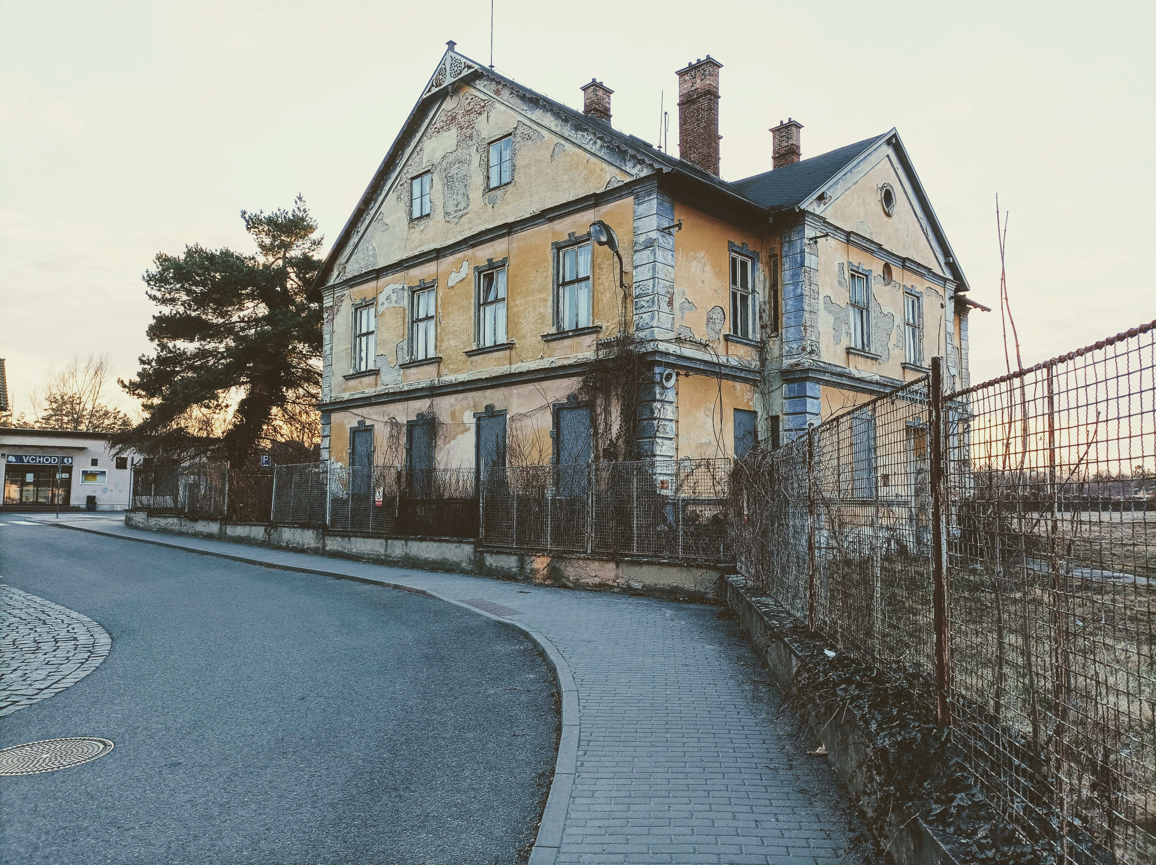Bučky