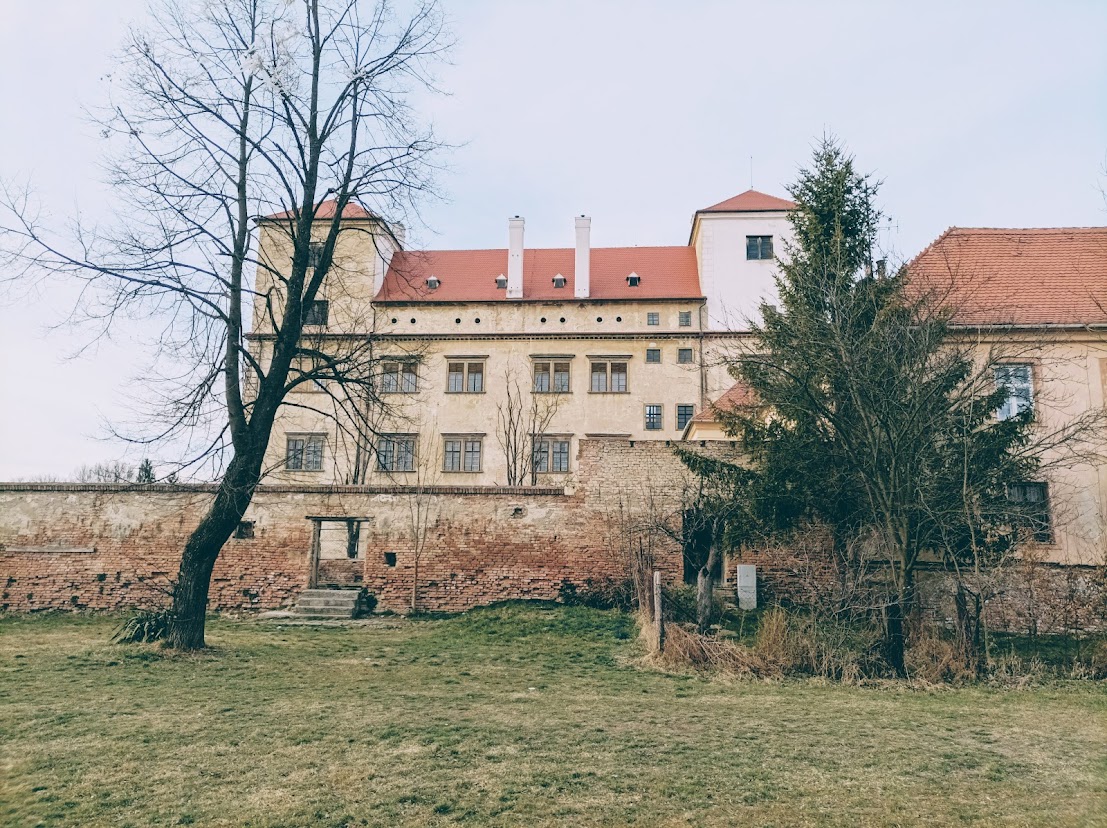 Bučky