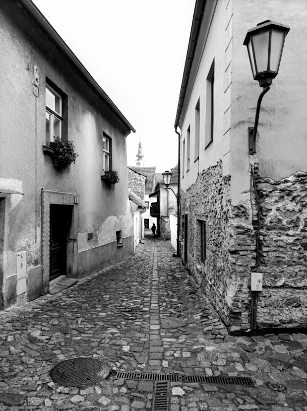 Třeb11