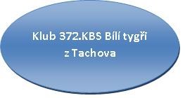 Logo klubu Bílí Tygři