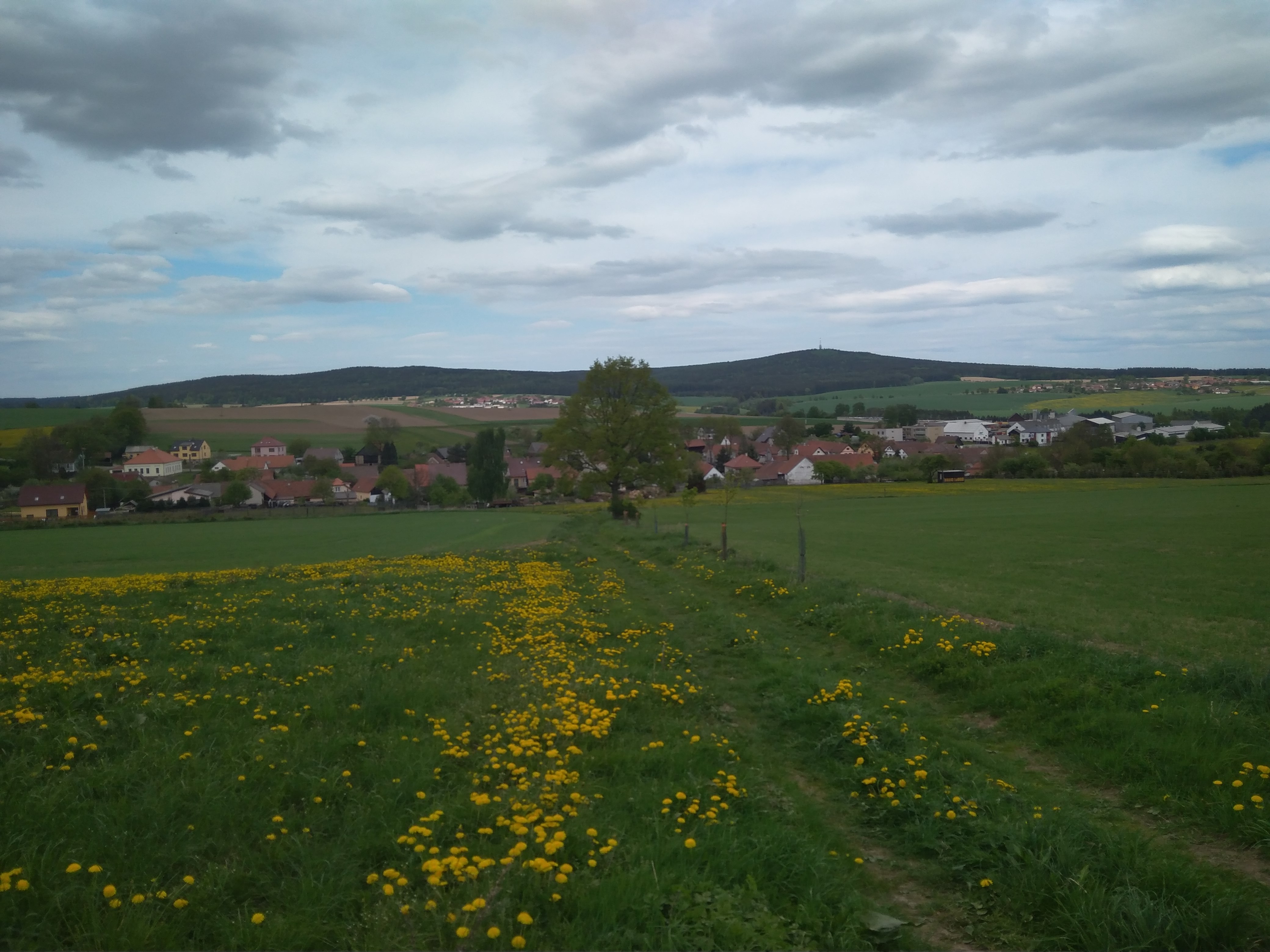 Klub Parta Sokolů