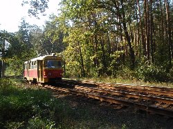 Lesní tramvaj