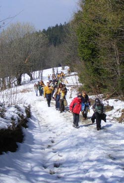 Ivančena 2011