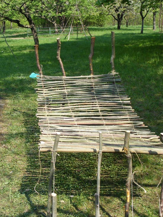 Mohawkové.