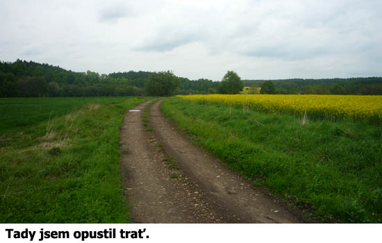 Muna (SPJF).