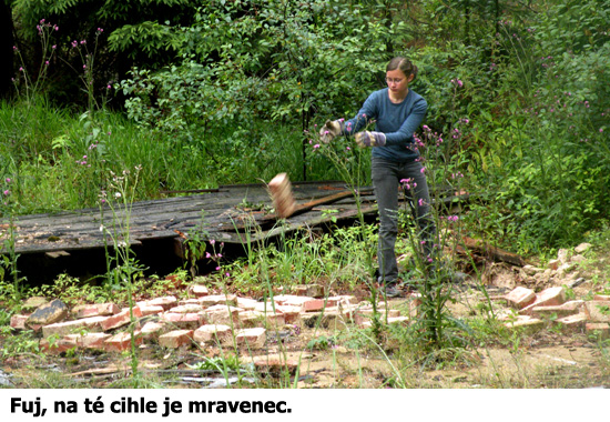 Muna (SPJF).